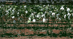 Desktop Screenshot of multiprendas.com